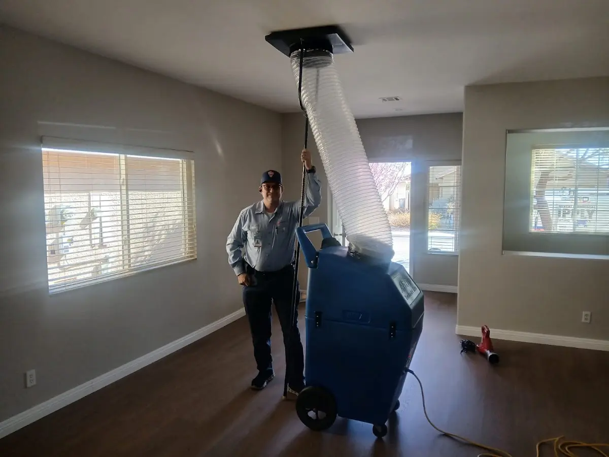 Professional Dryer Vent Cleaning work inside a Canterbury home
